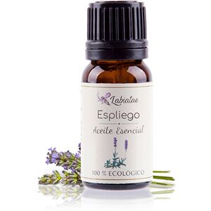 Labiatae Aceite Esencial Ecológico de Espliego