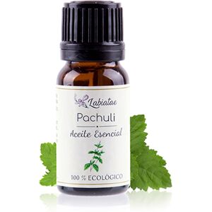 Labiatae Aceite Esencial Ecológico de Pachuli