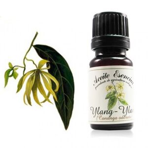 Labiatae Aceite Esencial Ecológico de Ylang-Ylang III