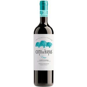 Campo de Borja Coto de Hayas Crianza 2019