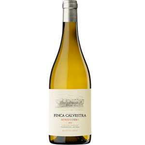 Vino de España Finca Calvestra Merseguera 2022