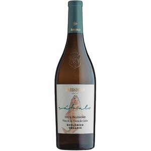 Barbadillo Sabalo Palomino Orgánico 2021 - Vino Blanco Barbadillo Sabalo Palomino Orgánico 2021 - Vino Blanco