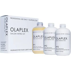 Olaplex Salon Intro Kit