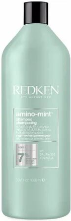 Redken Amino Mint Shampoo 1L