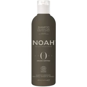 Noah Champú Purificante Menta y Salvia Fermentada 250ml