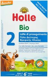 Holle Leche de Continuación 2 600g