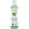 LOGONA Tonico Purificante Menta y Ácido Salicilico 125ml