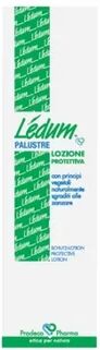 LEDUM Palustre The Wall 100ml