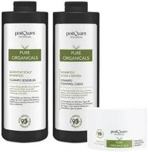 Postquam Pack Cabello Organic Gran Formato