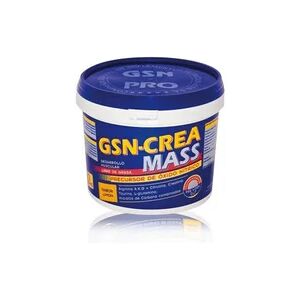 GSN Crea-Mass Sabor Naranja 2kg