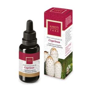 HIRANYAGARBA Karoti-Take Elixir Concentrado Coprinus 30ml