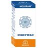 Equisalud Holoram Cerevitan 180caps