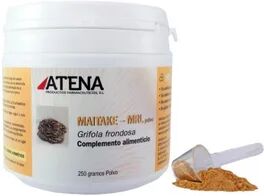 Atena Maitake MRL Polvo 250g