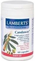 Lamberts Candaway 60 Cap