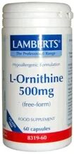 Lamberts Ornitina Hcl 500 Mg 60 Cap