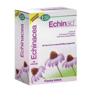 ESI Echinaid Alta Potencia 60Cps ESI Echinaid Alta Potencia 60Cps