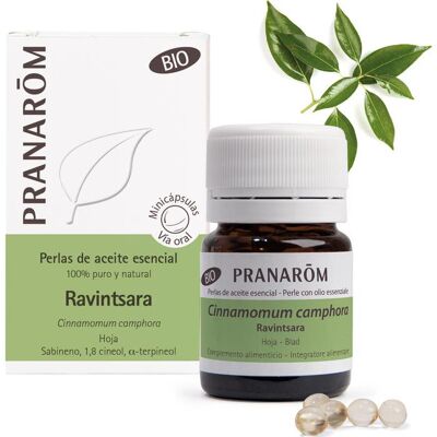 Cápsulas de Aceite de Ravintsara Orgánico Pranarom - Apoya la Respiración y las Defensas Cápsulas de Aceite de Ravintsara Orgánico Pranarom - Apoya la Respiración y las Defensas