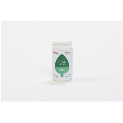 Ifigen Ginkgo Biloba 90 Cápsulas - Suplemento Dietético Ifigen Ginkgo Biloba 90 Cápsulas - Suplemento Dietético