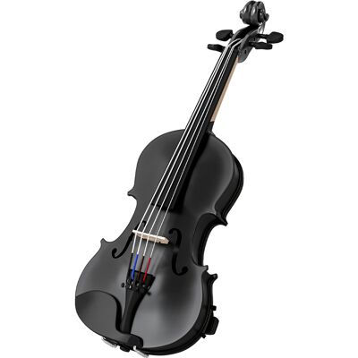 Homcom Violín 4/4 de Tamaño Completo de Madera con Estuche Arco Colofonia Afinadores Cuerdas y Soporte para Hombro Negro Homcom Violín 4/4 de Tamaño Completo de Madera con Estuche Arco Colofonia Afinadores Cuerdas y Soporte para Hombro Negro