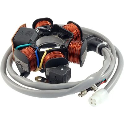 Rms Estator Piaggio Sfera/free/zip 50cc Multicolor One Size Rms Estator Piaggio Sfera/free/zip 50cc Multicolor One Size