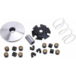 Malossi Kit Variador M5111885 Multicolor One Size Malossi Kit Variador M5111885 Multicolor One Size