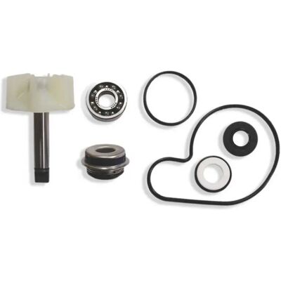 Tecnium Kit De Reconstrucción De Bomba De Agua Mf5-8000 Suzuki Burgman Black / Silver One Size Tecnium Kit De Reconstrucción De Bomba De Agua Mf5-8000 Suzuki Burgman Black / Silver One Size