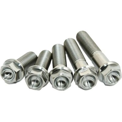 Scar Kit De Tornillos Para Motor Stimeng250sx Titanium One Size Scar Kit De Tornillos Para Motor Stimeng250sx Titanium One Size
