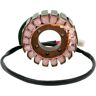 Ricks Motorsport Electric Oem Ducati 21-010 Stator Negro