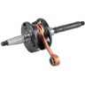 Jasil Derbi Gp 1/gilera/piagas Gas Io Nrg-typhoon-zip 50 6030023 Crankshaft Plateado