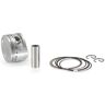 Goetze Honda Sh 125 Gpk006-std Piston Kit Plateado