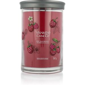 Vela Perfumada Yankee Candle Púrpura 100 Horas Vela Perfumada Yankee Candle Púrpura 100 Horas