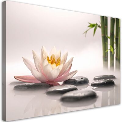 FEEBY Impresión De Imagen, Flor De Loto Piedras Plantas Zen Spa, 120x80 FEEBY Impresión De Imagen, Flor De Loto Piedras Plantas Zen Spa, 120x80