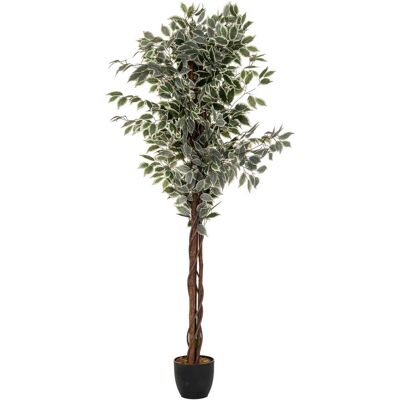 Atmosphera - Ficus Artificial Artifices H180 Cm Créateur D'Intérieur Atmosphera - Ficus Artificial Artifices H180 Cm Créateur D'Intérieur
