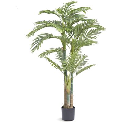 Vevor Árbol Artificial 1981 Mm Planta Artificial Pe Palma De Caña Dorada Árbol Verde Falso Con Maceta 203x175 Mm Decoración De Plantas Falsas Para Hogar Oficina Centros Comerciales Interior Exterior Vevor Árbol Artificial 1981 Mm Planta Artificial Pe Palma De Caña Dorada Árbol Verde Falso Con Maceta 203x175 Mm Decoración De Plantas Falsas Para Hogar Oficina Centros Comerciales Interior Exterior