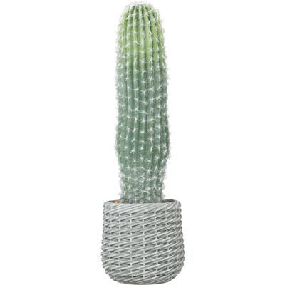 JHY DESIGN Cactus Artificial De 66 Cm, Planta Decorativa Artificial Con Maceta Para Decoración Verde De Interiores. JHY DESIGN Cactus Artificial De 66 Cm, Planta Decorativa Artificial Con Maceta Para Decoración Verde De Interiores.