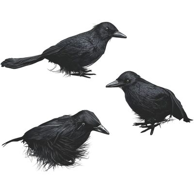 OEM Cuervo Artificial - Espuma Resistente Con Plumas Negras Realistas - Decoración Para Fiesta De Halloween - Interior Y Exterior - 3 Unidades OEM Cuervo Artificial - Espuma Resistente Con Plumas Negras Realistas - Decoración Para Fiesta De Halloween - Interior Y Exterior - 3 Unidades