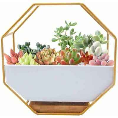 OEM Macetero Moderno De Alambre Metálico Para Pared, Maceta De Pared, Maceta De Vidrio Colgante, Jarrón De Pared Transparente Para Flores Artificiales, Cactus, Suculentas, Decoración Para Sala De Estar/do OEM Macetero Moderno De Alambre Metálico Para Pared, Maceta De Pared, Maceta De Vidrio Colgante, Jarrón De Pared Transparente Para Flores Artificiales, Cactus, Suculentas, Decoración Para Sala De Estar/do