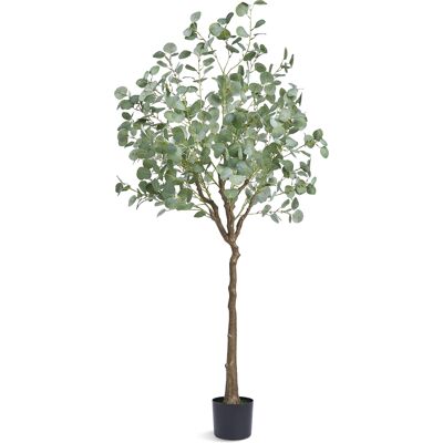 Mophorn - Vevor Árbol Artificial Árbol De Eucalipto 800 X 1810 Mm Planta Artificial De Pe Para Decoración Maceta De Árbol Verde 170 X 145 Mm Para Hogar, Oficina, Hotel, Centro Comercial, Interior Y Exterior Mophorn - Vevor Árbol Artificial Árbol De Eucalipto 800 X 1810 Mm Planta Artificial De Pe Para Decoración Maceta De Árbol Verde 170 X 145 Mm Para Hogar, Oficina, Hotel, Centro Comercial, Interior Y Exterior