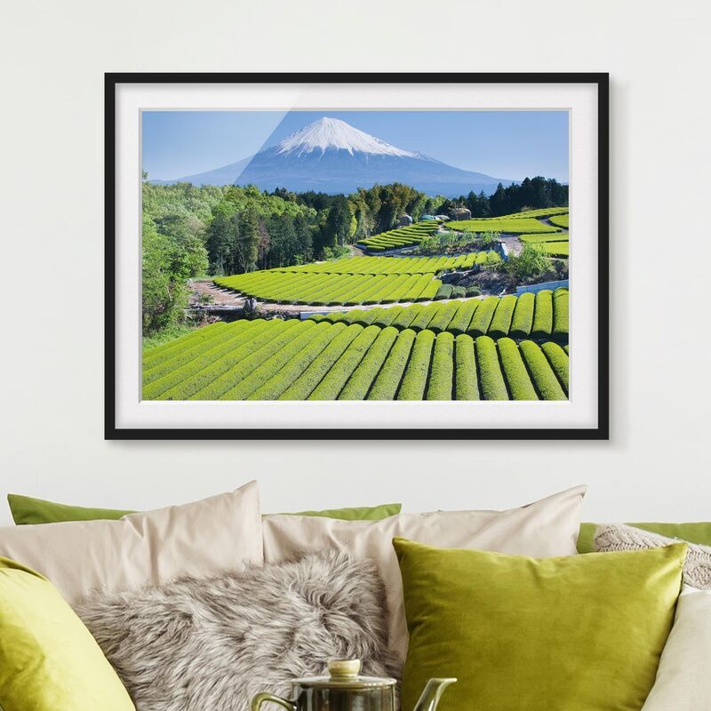 Micasia - Póster enmarcado - Tea Fields In Front Of The Fuji Dimensión LxA: 30cm x 40cm, Marco: Negro