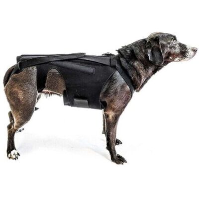 OEM Faja Lumbar (talla M) Para Perros Pequeños, Artritis, Recuperación Postoperatoria De Columna, Hernias Discales, Discos Deslizados, Rehabilitación - Dachshunds, Corgis OEM Faja Lumbar (talla M) Para Perros Pequeños, Artritis, Recuperación Postoperatoria De Columna, Hernias Discales, Discos Deslizados, Rehabilitación - Dachshunds, Corgis