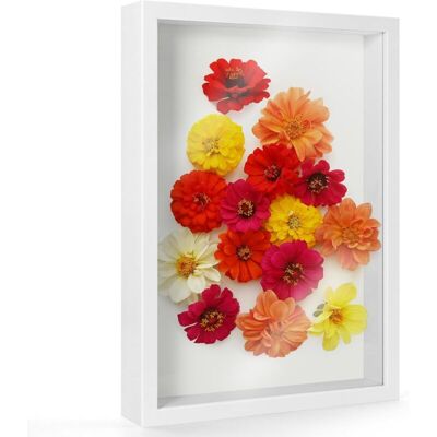 OEM Marco De Fotos 3d A4 De Madera Maciza, 22,8 X 31,6 Cm, Grosor Máximo 6,5 Cm, Para Colgar En La Pared O Colocar Sobre Una Mesa, Ideal Para Recuerdos, Flores Secas Y Medallas - Ulisem OEM Marco De Fotos 3d A4 De Madera Maciza, 22,8 X 31,6 Cm, Grosor Máximo 6,5 Cm, Para Colgar En La Pared O Colocar Sobre Una Mesa, Ideal Para Recuerdos, Flores Secas Y Medallas - Ulisem