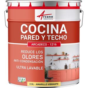 ARCANE INDUSTRIES Pintura Lavable Para Cocina: Para Paredes Y Techos De Cocina - Arcadeco - 1216 ARCANE INDUSTRIES Pintura Lavable Para Cocina: Para Paredes Y Techos De Cocina - Arcadeco - 1216