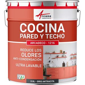 ARCANE INDUSTRIES Pintura Lavable Para Cocina: Para Paredes Y Techos De Cocina - Arcadeco - 1216 ARCANE INDUSTRIES Pintura Lavable Para Cocina: Para Paredes Y Techos De Cocina - Arcadeco - 1216
