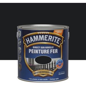Peinture Hammerite Fer Bril.laque 2l5 Noir 070750 - Julien Peinture Hammerite Fer Bril.laque 2l5 Noir 070750 - Julien