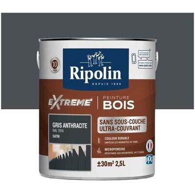 Ripolin Protection Extrême Pintura Gris Antracita 2,5 L Ripolin Protection Extrême Pintura Gris Antracita 2,5 L