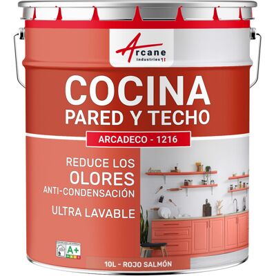ARCANE INDUSTRIES Pintura Lavable Para Cocina: Para Paredes Y Techos De Cocina - Arcadeco - 1216 ARCANE INDUSTRIES Pintura Lavable Para Cocina: Para Paredes Y Techos De Cocina - Arcadeco - 1216