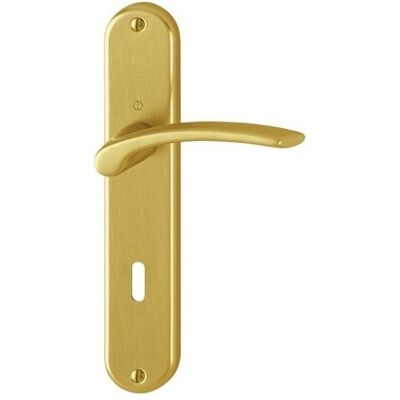 FINISH Tirador Sobre Placa Ibiza 1171-3022p F272 Aluminio Dorado Satinado Beccane Cond FINISH Tirador Sobre Placa Ibiza 1171-3022p F272 Aluminio Dorado Satinado Beccane Cond