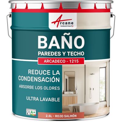 ARCANE INDUSTRIES Pintura Impermeable Baño: Para Paredes Y Techos De Baño - Arcadeco - 1215 ARCANE INDUSTRIES Pintura Impermeable Baño: Para Paredes Y Techos De Baño - Arcadeco - 1215