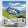 MICASIA Fotomural - Grindelwald Panorama Dimensión LxA: 192cm x 192cm Material: Premium