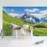 MICASIA Fotomural - Grindelwald Panorama Dimensión LxA: 320cm x 480cm Material: Autoadhesivo